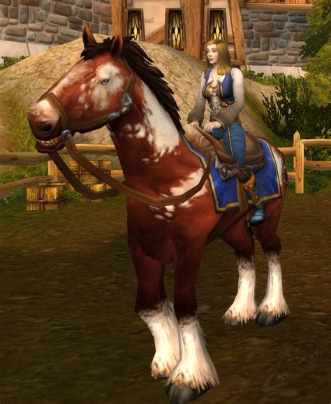 apprentice riding stormwind.